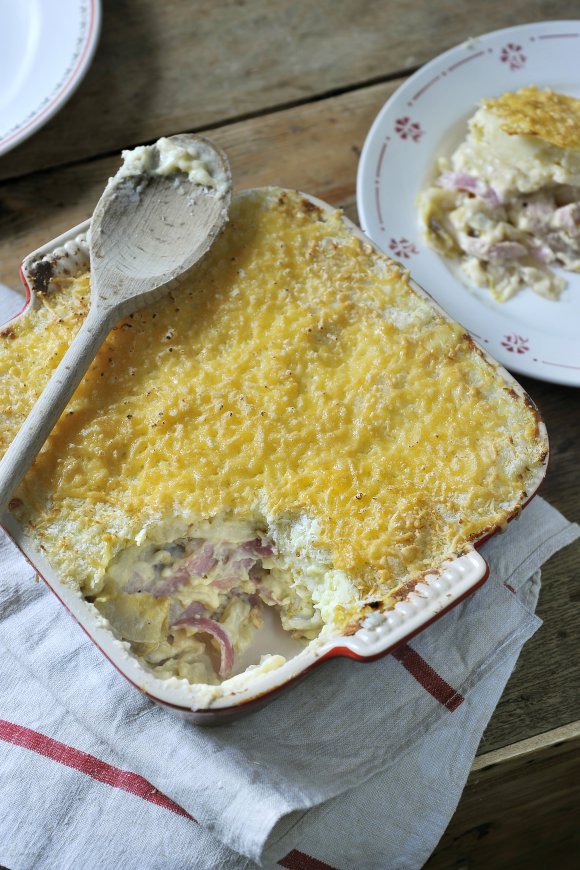 Ovenschotel met witloof en ham