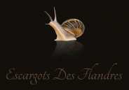 Escargots Des Flandres