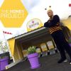 The Honey Project